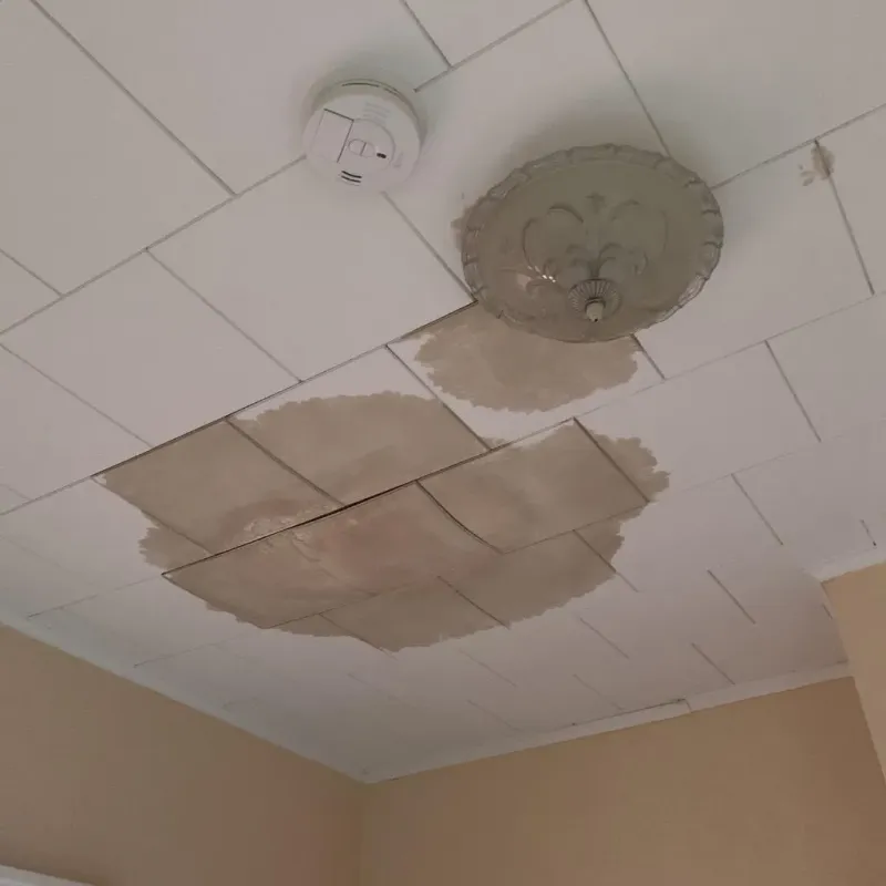 Ceiling Water Damage Repair in Mineral County, WV