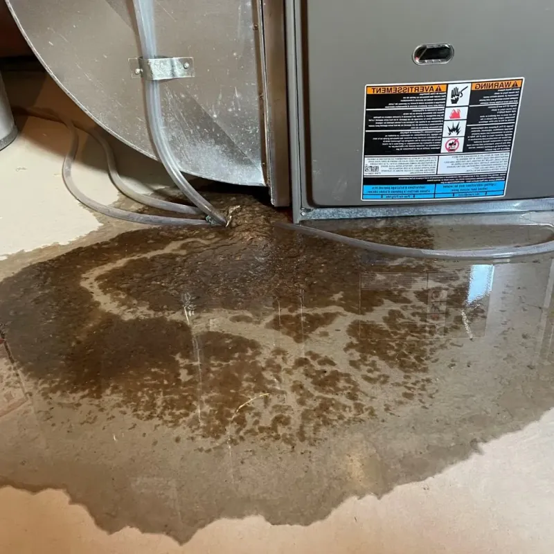 Pipe Burst and Leak Restoration in Mineral County, WV