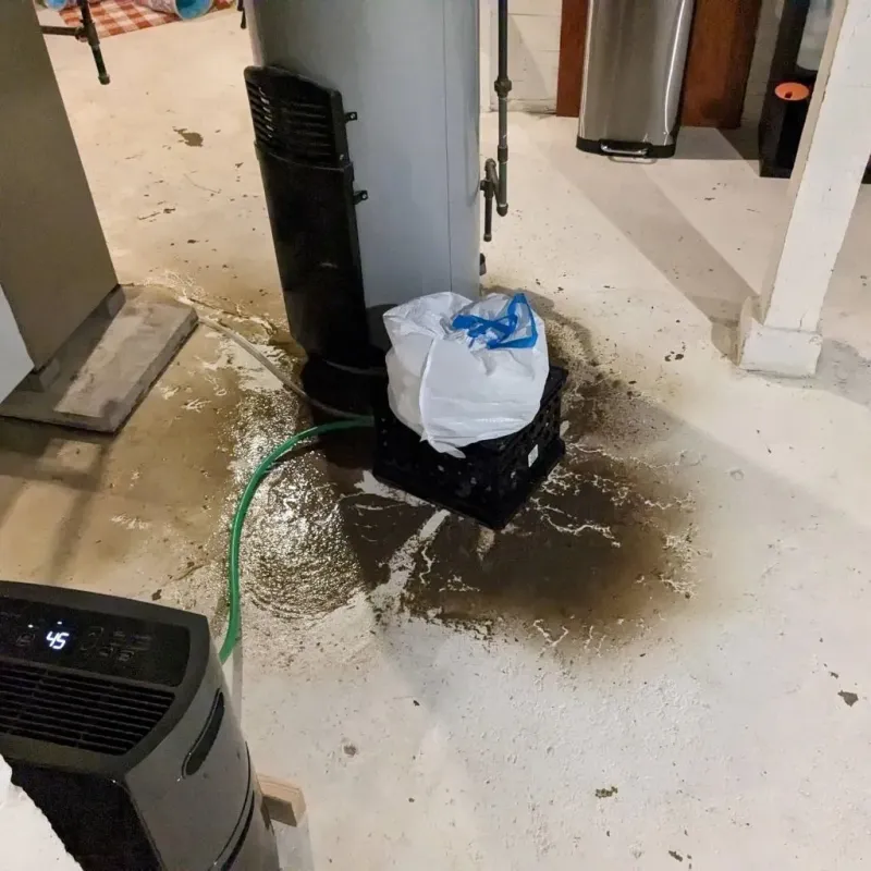 Sewage Backup Cleanup Service in Mineral County, WV
